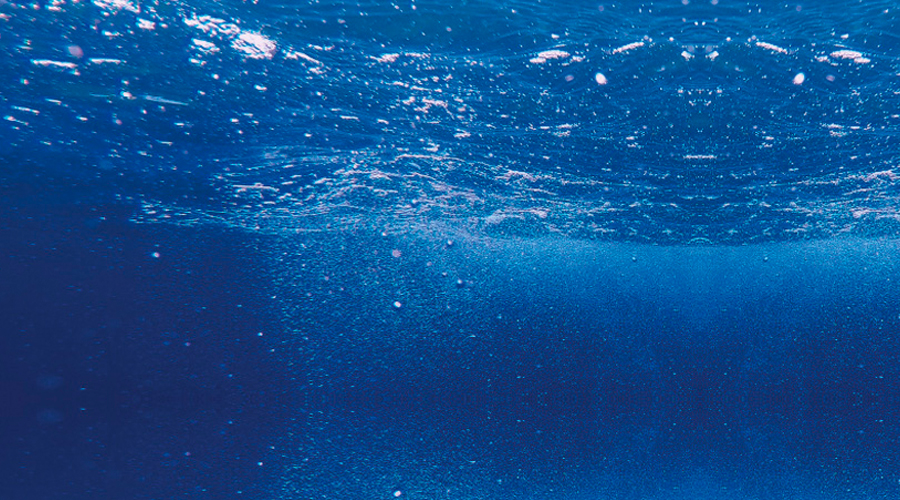 How is a mobile app helping curb ocean pollution in the digital age?